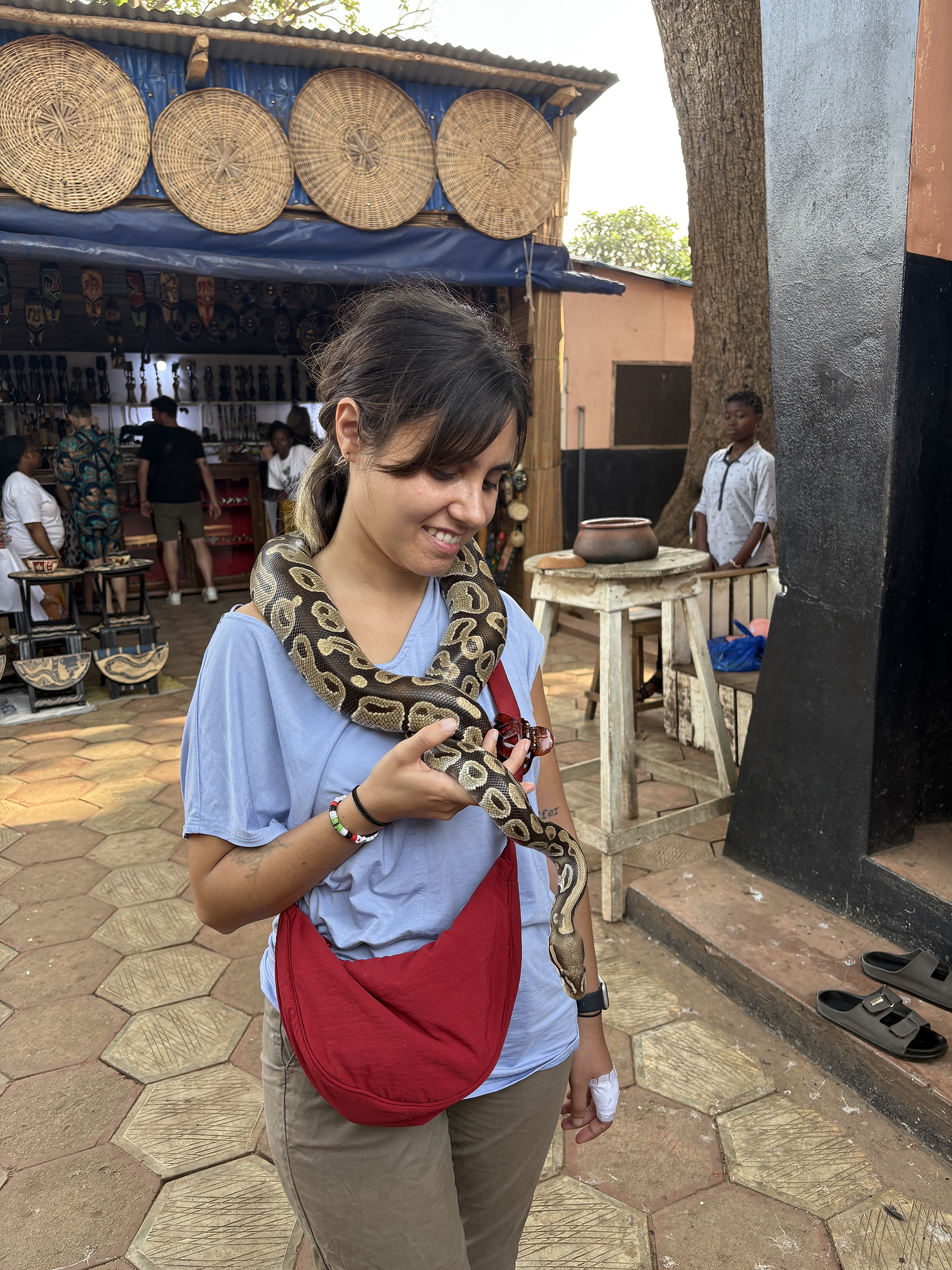 Making friends with a python in Ouidah